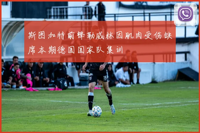 斯图加特前锋勒威林因肌肉受伤缺席本期德国国家队集训