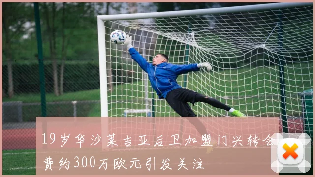 19岁华沙莱吉亚后卫加盟门兴转会费约300万欧元引发关注